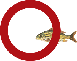 red-circle-fish-lrgimg